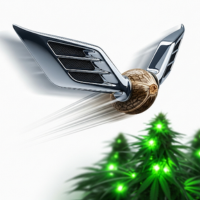 Wietzaden Fast Version