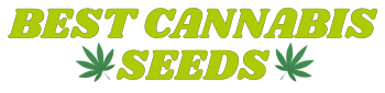 BestCannabisSeeds.be